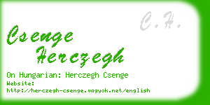 csenge herczegh business card